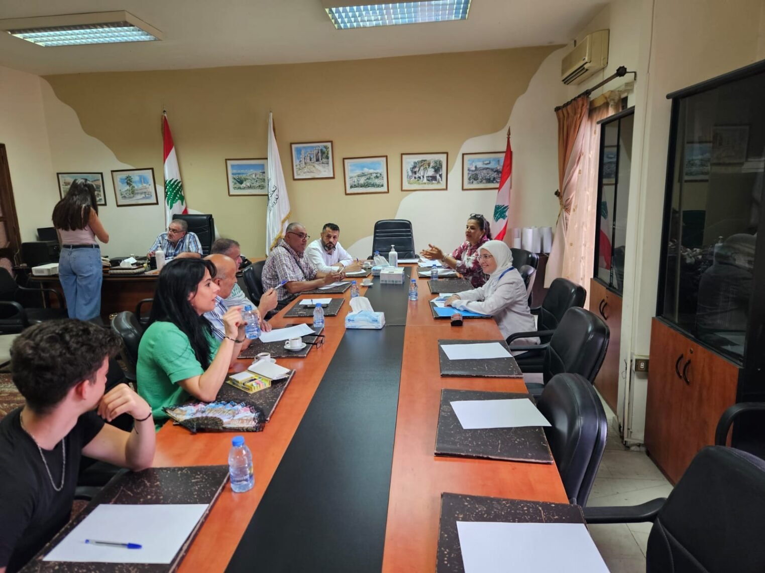 Consultation with local experts